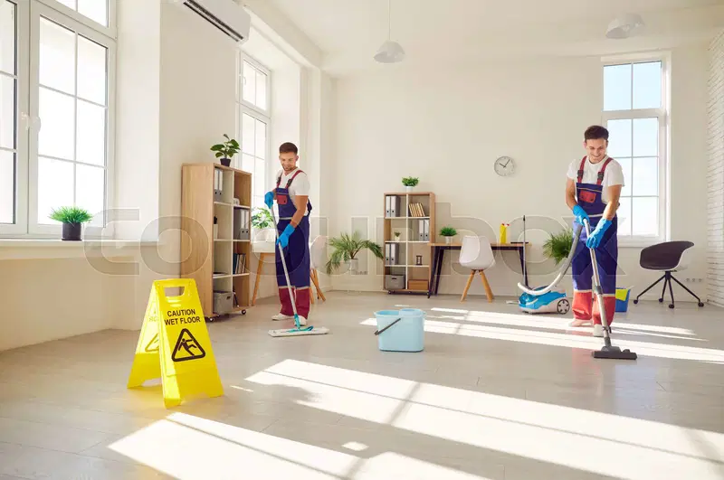 Regular House Cleaning